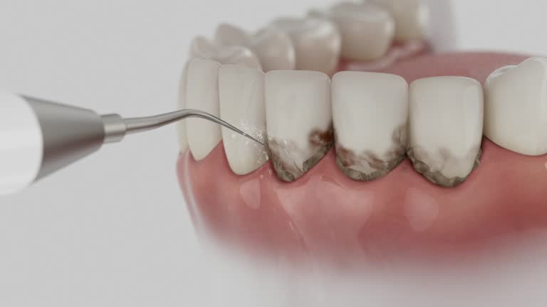 Reliable Dental contractor in Crockett, TX by Dentist Open Now
